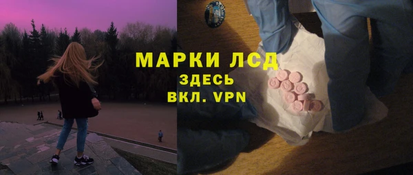 apvp Горняк