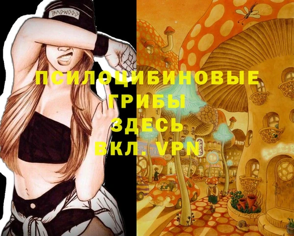 apvp Горняк