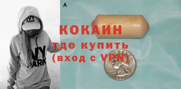 apvp Горняк