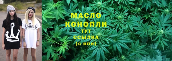 apvp Горняк