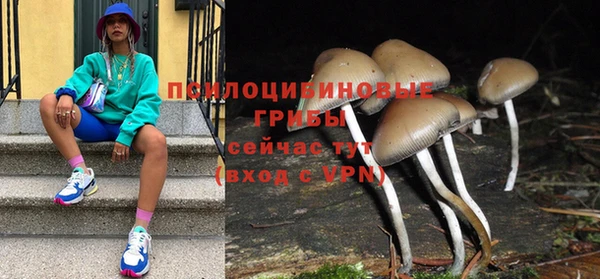 apvp Горняк