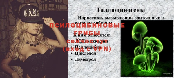 apvp Горняк