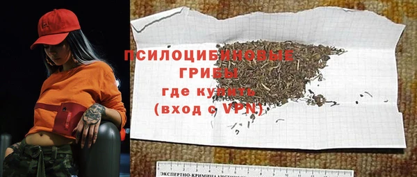 apvp Горняк